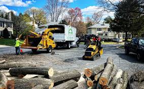 Artificial Turf Installation in Millbury, OH